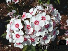 ����� ���� ���� 78�