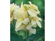 ����� ���������� 86,4�.jpg