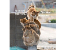 6246349.jpg