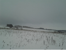 2015-01-11 09.58.29.jpg