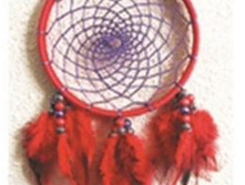 �����_����_�������