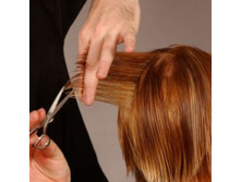 TRudy cut step 8_crop_large.jpg