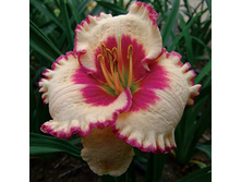 �������� ������� ����� 274,8�