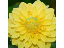 �������� ������ ������.jpg