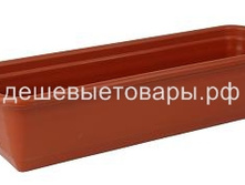 �����-���� 100��. ���������� 245�.jpg