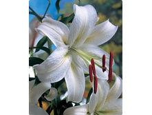 ����� ���������� 5�� 180�.jpg