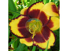 �������� ������� ������.jpg