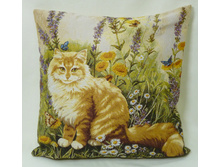 ����� ���.jpg