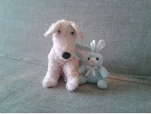 2015-02-25 13.11.18.jpg