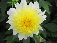 �������� ��������� 96�