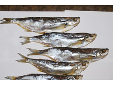 ������ - 245 �..jpg