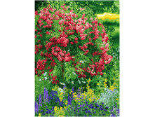 ����� ��������� (140�200).jpg