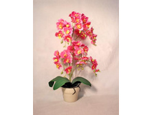 �� 55*2/33 - 1100