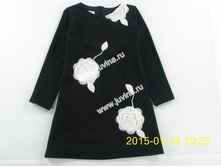 IMG_5827 (����������).jpg