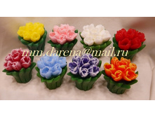 ����� ���������.