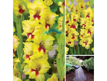 ��������� ���� ������ 14.jpg