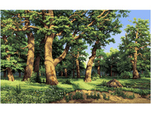 ���� (240�140).jpg