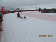 ���� 386.jpg