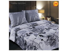 ������ ������ 2.0 ��������