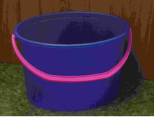 ����� 15� �������� ����.JPG