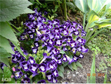 ������� �ݣ 2.jpg