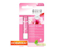 LAVERA ��� ������� ��� ��� ������� � ���� �������-293 �����