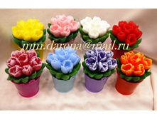 ����� ��������� (� ��ģ���)