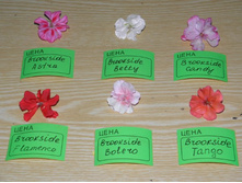 Brookside( ���������).jpg