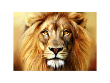 ��� 38*27 �g5845 - 846 ���.