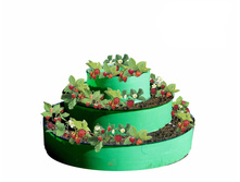 ������ 3-� ������� ������(��� ������������ �������)-1500�