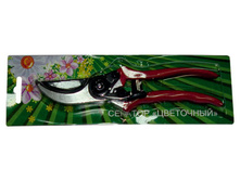 ������� "���������"  170�