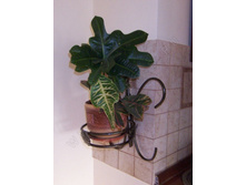 ��������� ��������� ��� 1 ������ �������.jpg