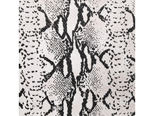 �����-����� ������� ��������.jpg