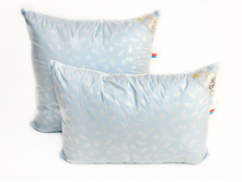 ������� ����*��� �*��.jpg