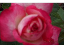 ��� 2014 032.jpg