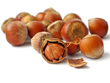 ������ ����������� �����