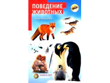 ����� � ���