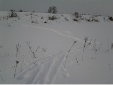 2015-02-07 13.16.31.jpg