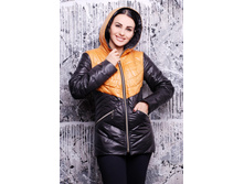 ������ DSH �1.jpg