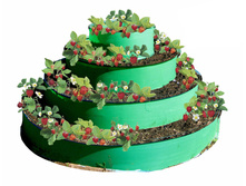 ������ 4-� ������� ������(��� ������������ �������)-2260�