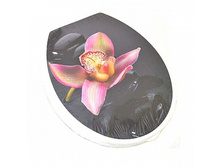 �������� �������� ������� 305�.jpg