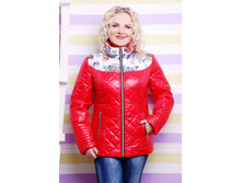 ������ DSH �2.jpg