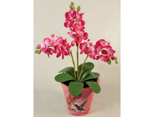 �� 32*3/33 - 395