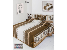 Antonio Salgado (����������) ���. Tribo.jpg