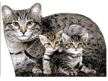 ����� � �������� .jpg