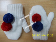 DSCN9764 (����������).jpg