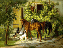 ����� �� �����