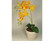 �� 40*2/33 - 330