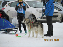 ���� 411.jpg