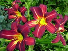 �������� ���� ����� 118,8�